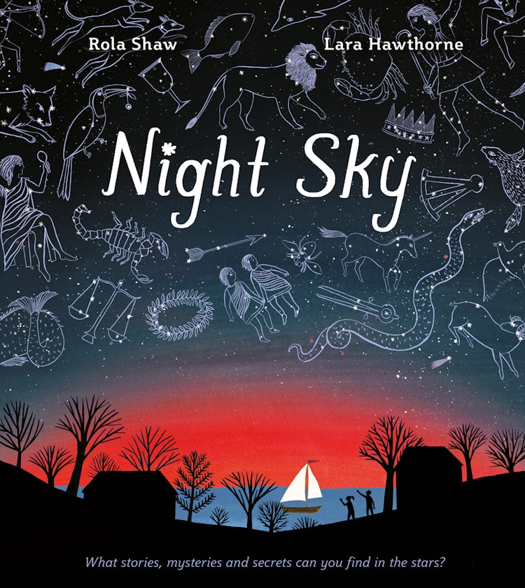 Cover image for Night Sky, isbn: 9781405297783