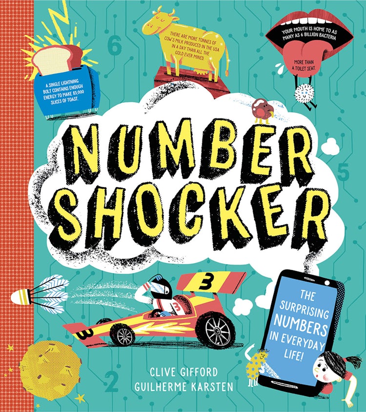 Cover image for Number Shocker, isbn: 9781405299725