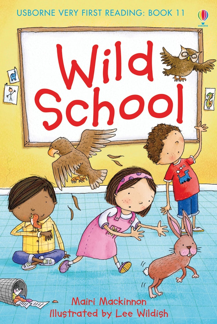 Cover image for Wild School, isbn: 9781409507130