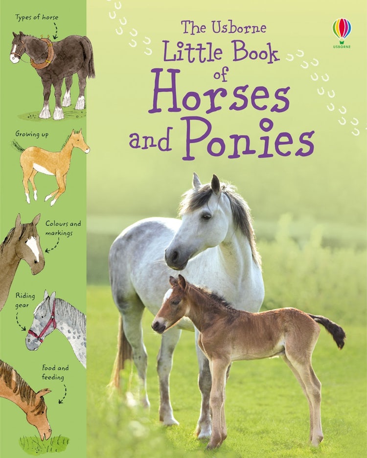 Cover image for Little Book of Horses and Ponies, isbn: 9781409508694