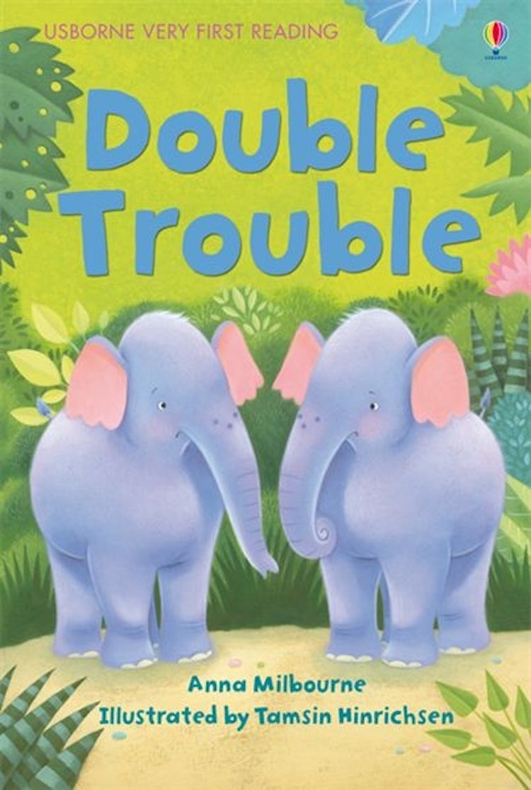 Cover image for Double Trouble, isbn: 9781409530619