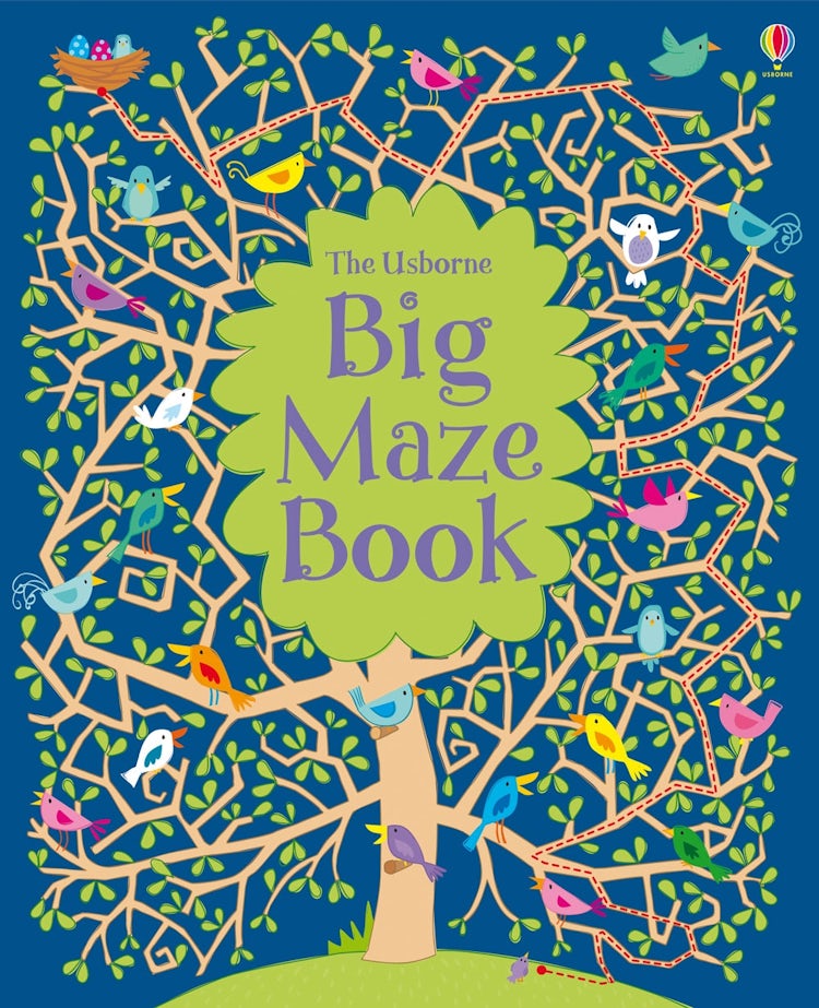 Cover image for Big Maze Book, isbn: 9781409532491