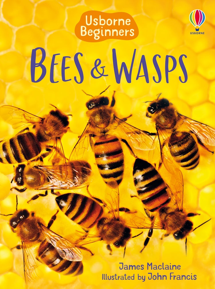 Cover image for Bees and Wasps, isbn: 9781409544876