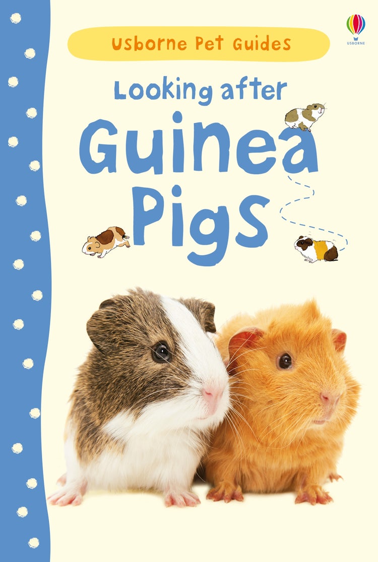 Cover image for Looking After Guinea Pigs, isbn: 9781409561880
