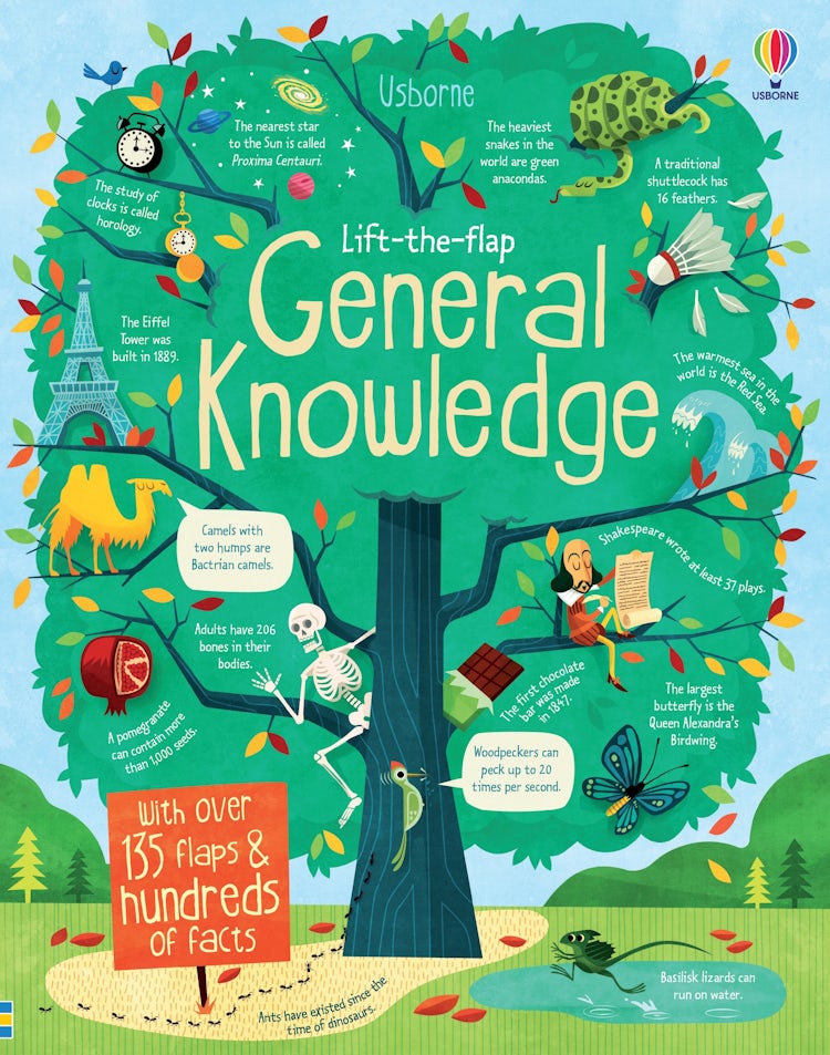 Cover image for Lift-the-Flap General Knowledge, isbn: 9781409563990