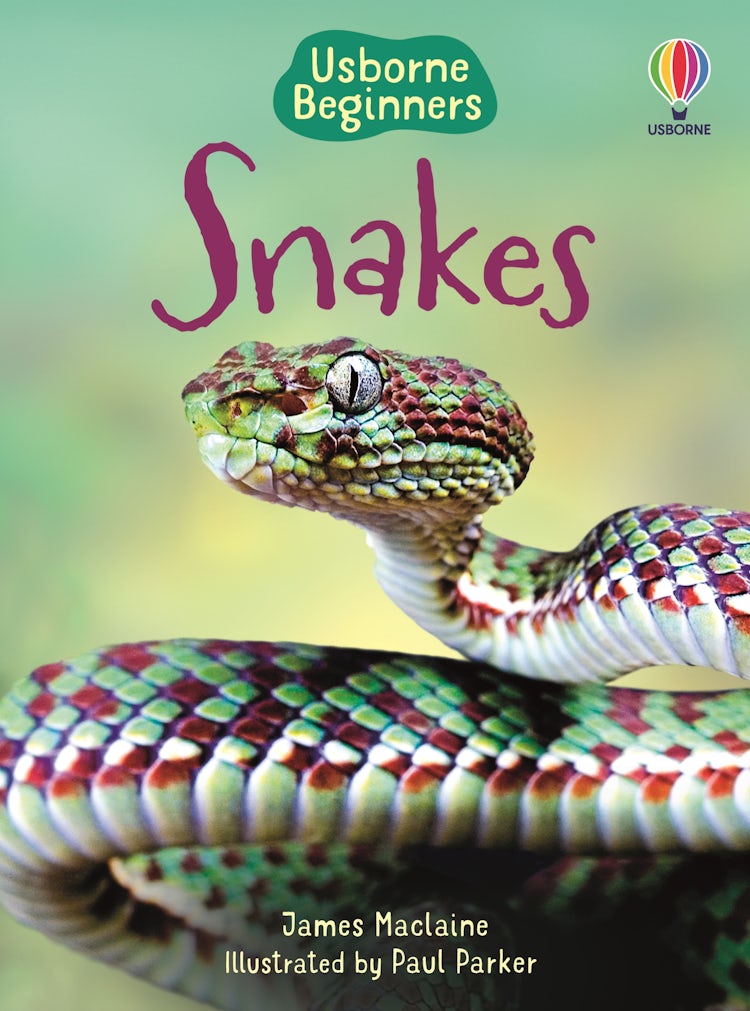 Cover image for Snakes, isbn: 9781409565253