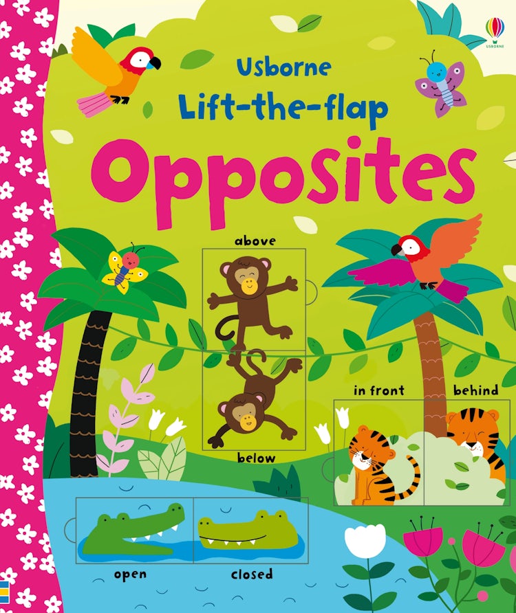 Cover image for Lift-the-flap Opposites, isbn: 9781409582588