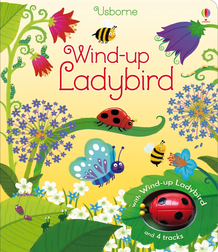 Cover image for Wind-Up Ladybird, isbn: 9781409583882