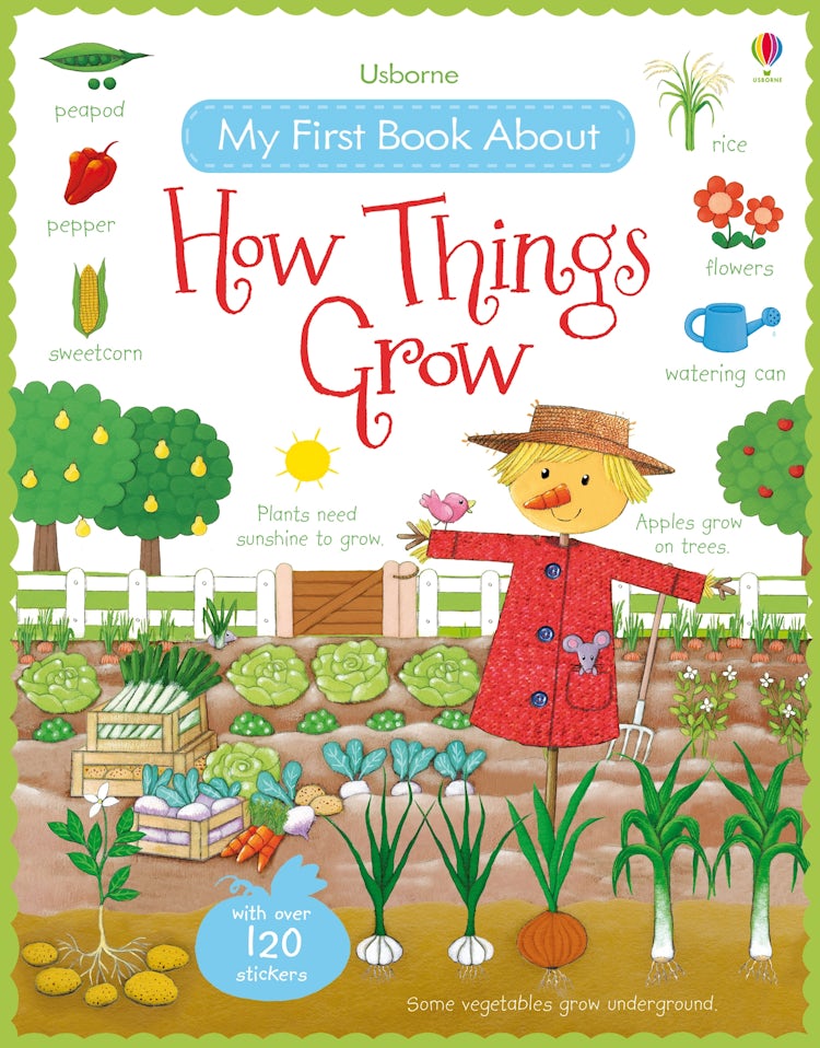 Cover image for My First Book About How Things Grow Sticker Book, isbn: 9781409593584