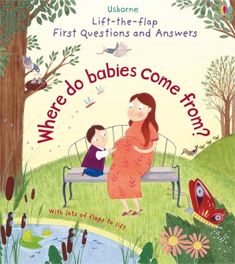 Cover image for Lift-The-Flap First Questions & Answers: Where Do Babies Come From?, isbn: 9781409598824