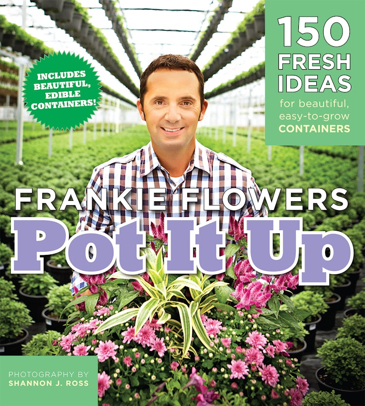 Cover image for Pot It Up, isbn: 9781443410250