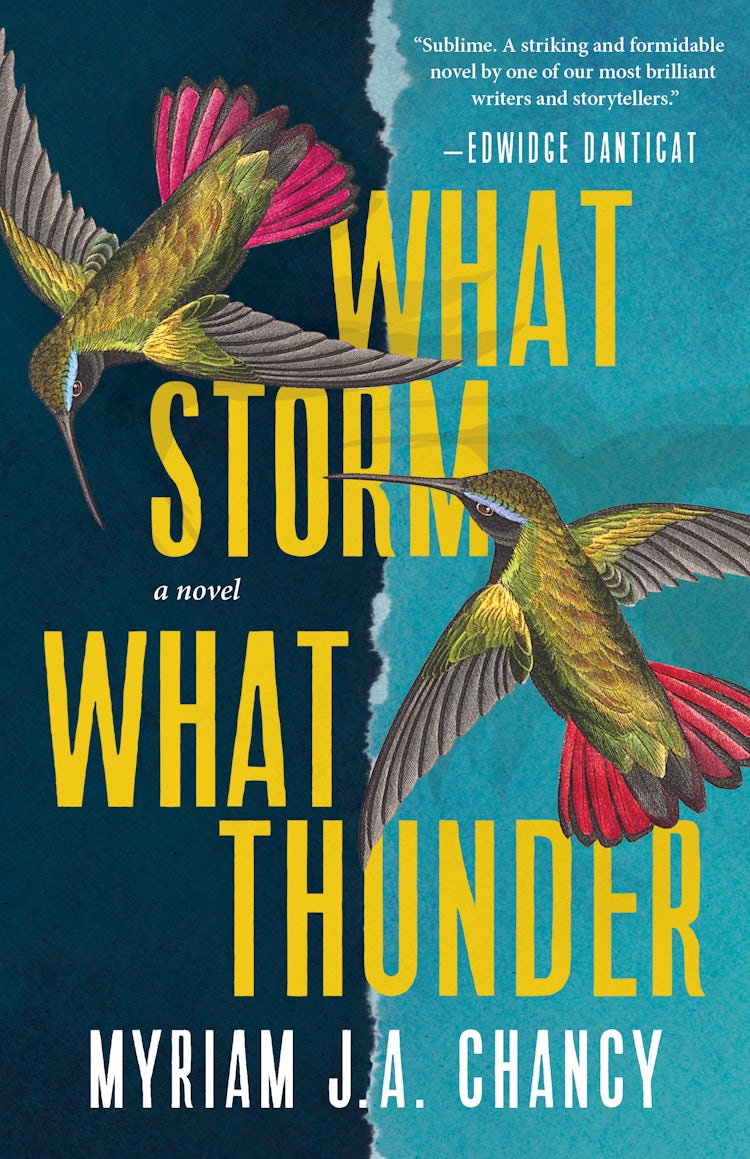 Cover image for What Storm, What Thunder, isbn: 9781443460361