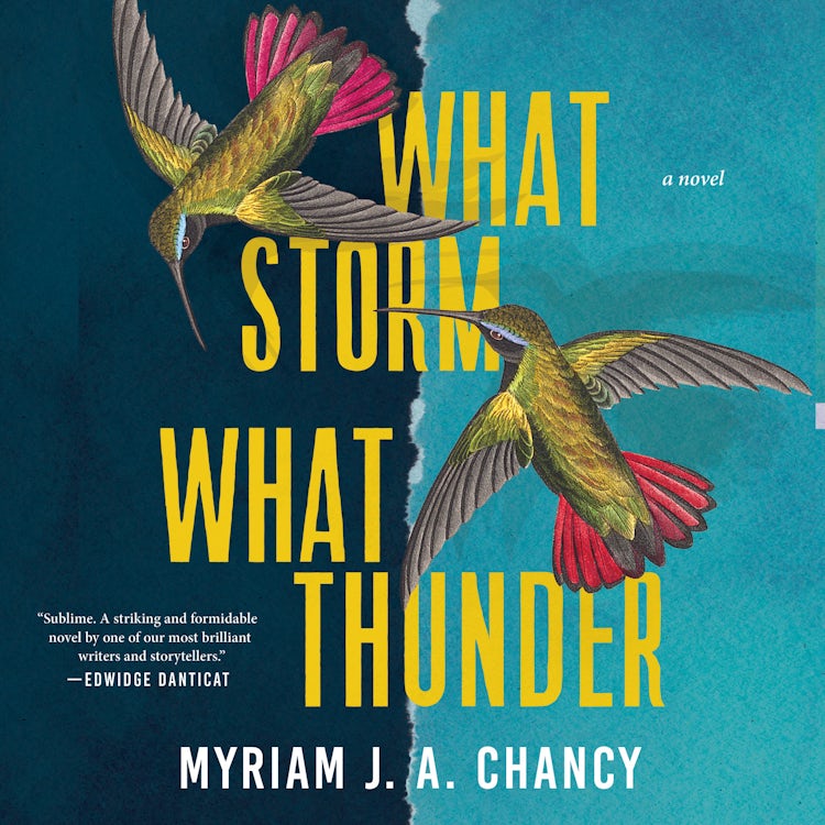 Cover image for What Storm, What Thunder, isbn: 9781443464475