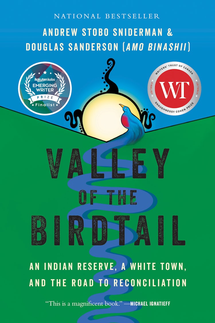 Cover image for Valley of the Birdtail, isbn: 9781443466318