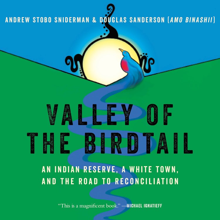 Cover image for Valley of the Birdtail, isbn: 9781443466332