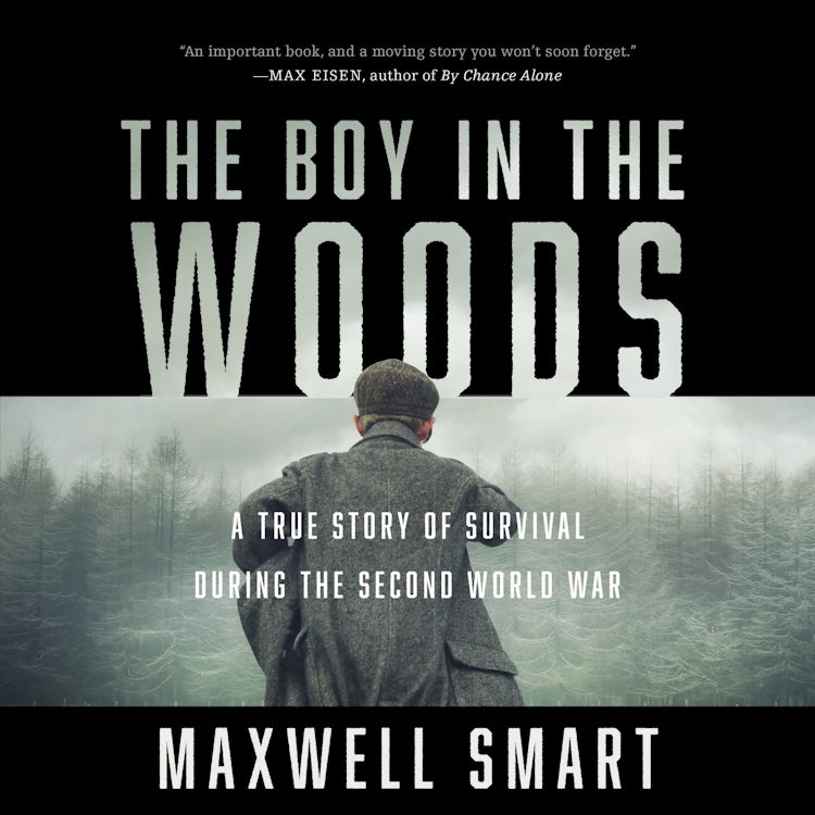 Cover image for The Boy in the Woods, isbn: 9781443466448