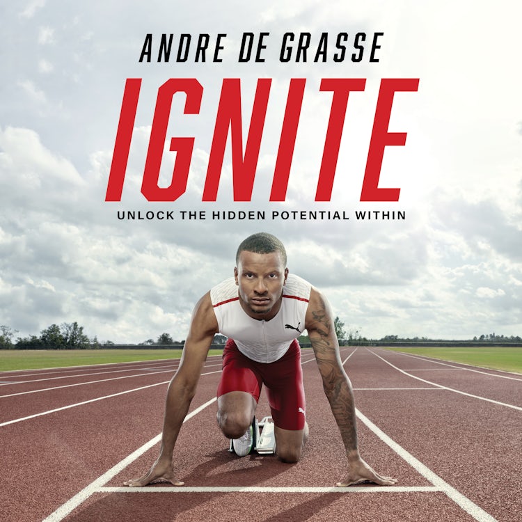 Cover image for Ignite, isbn: 9781443469104