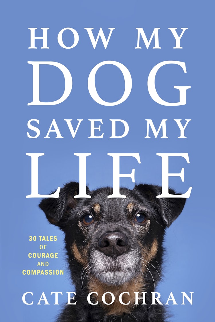 Cover image for How My Dog Saved My Life, isbn: 9781443471343