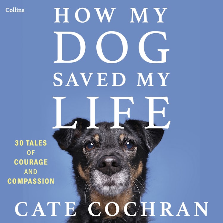 Cover image for How My Dog Saved My Life, isbn: 9781443471350