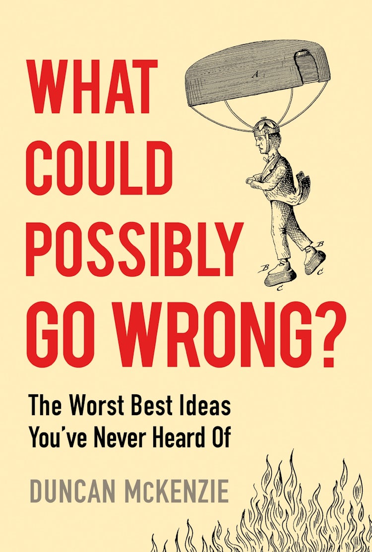Cover image for What Could Possibly Go Wrong?, isbn: 9781443475174