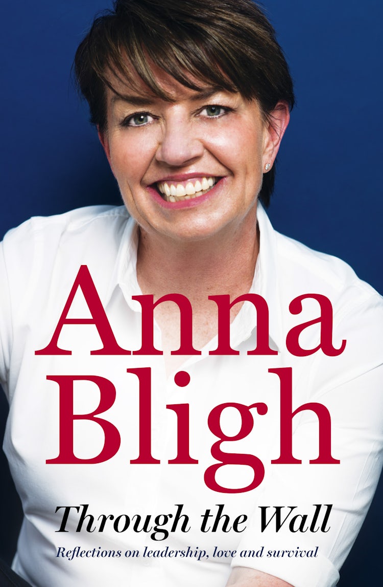 Cover image for Through The Wall, isbn: 9781460703427