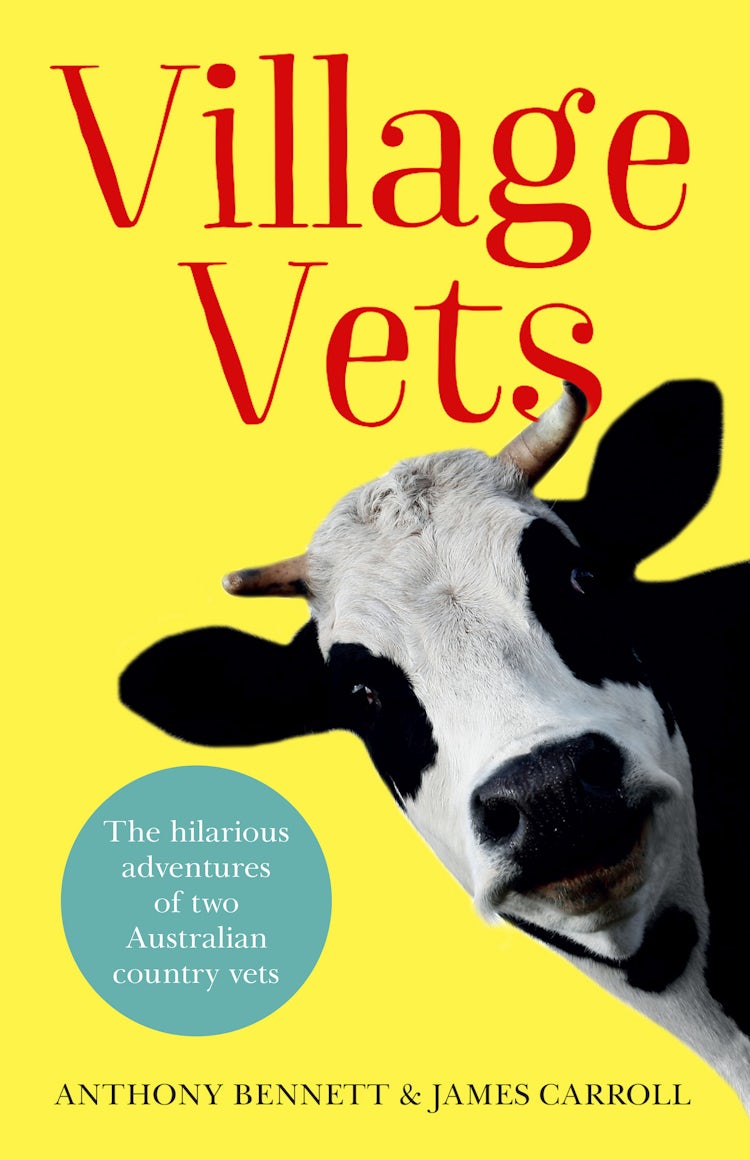 Cover image for Village Vets, isbn: 9781460704905