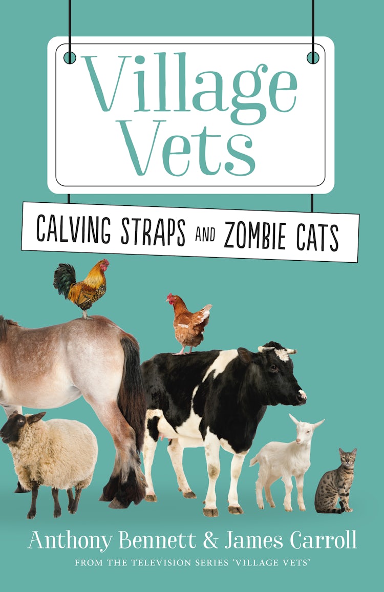 Cover image for Calving Straps and Zombie Cats, isbn: 9781460704912