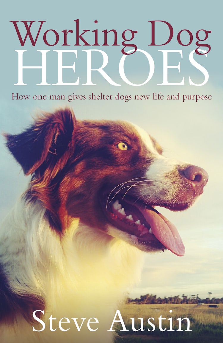 Cover image for Working Dog Heroes: How One Man Gives Shelter Dogs New Life and Purpose, isbn: 9781460705148