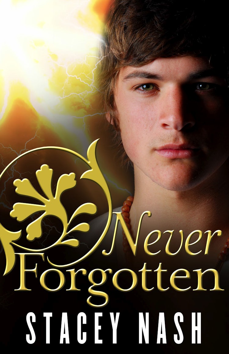 Cover image for Never Forgotten, isbn: 9781460705636