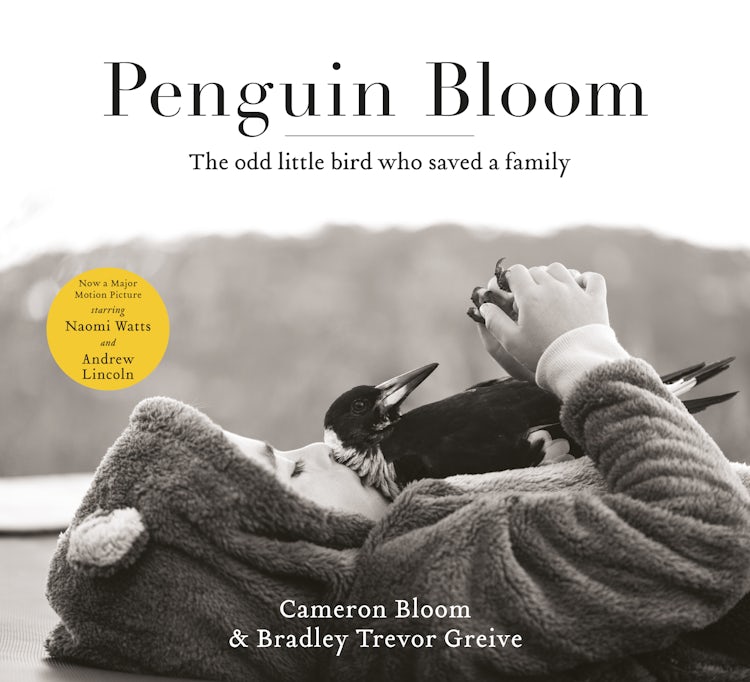 Cover image for Penguin Bloom: The odd little bird who saved a family: The award-winning, international bestselling sensation, isbn: 9781460706213