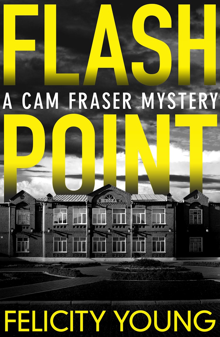 Cover image for Flashpoint, isbn: 9781460706244