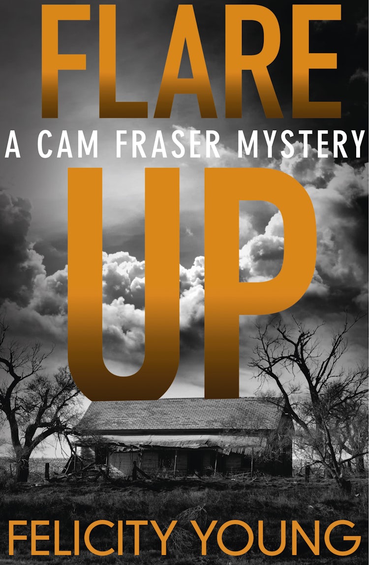 Cover image for Flare-up: a tense, taut mystery, isbn: 9781460706251