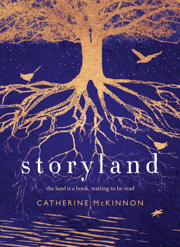 Cover image for Storyland: The compelling and ambitious Miles Franklin Award shortlisted novel from the author of To Sing of War, for readers of Kate Grenville, Tim Winton and Robbie Arnott, isbn: 9781460707166