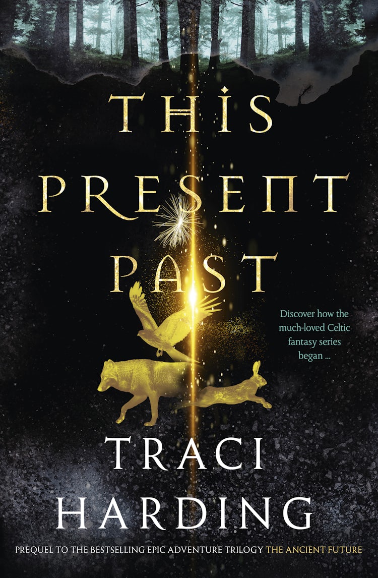 Cover image for This Present Past, isbn: 9781460708101