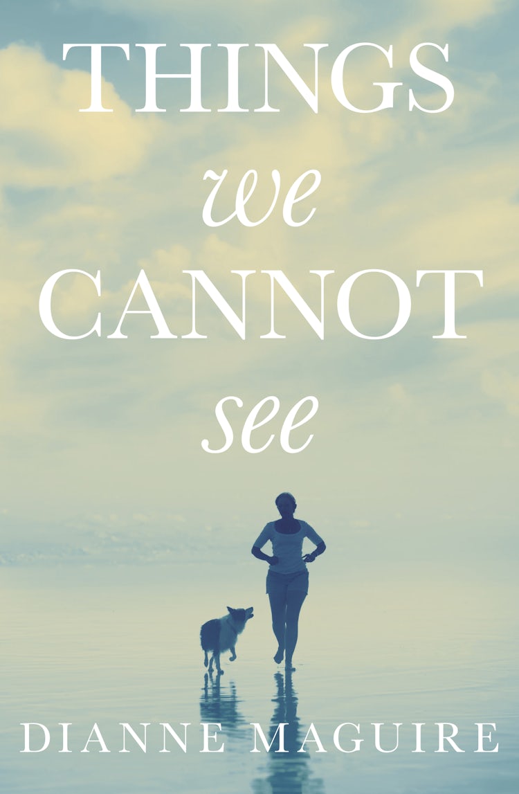 Cover image for Things We Cannot See, isbn: 9781460708156