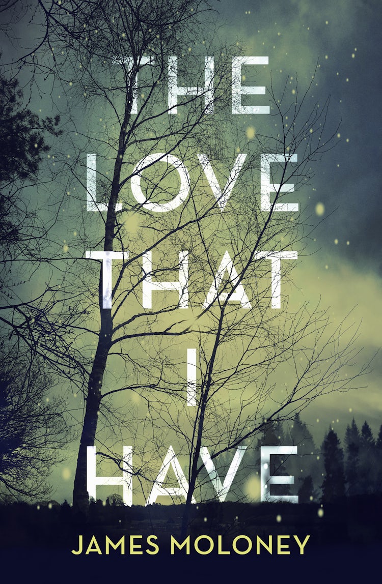 Cover image for The Love That I Have, isbn: 9781460709054