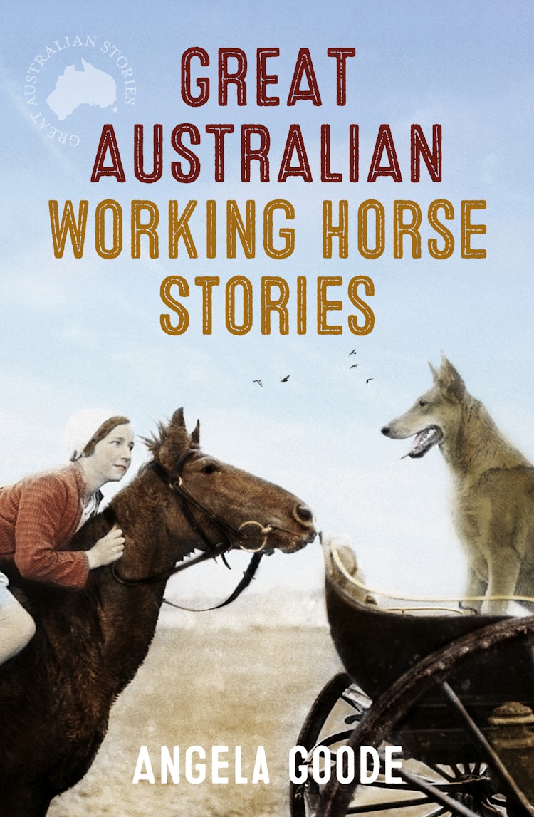 Cover image for Great Australian Working Horse Stories, isbn: 9781460709870