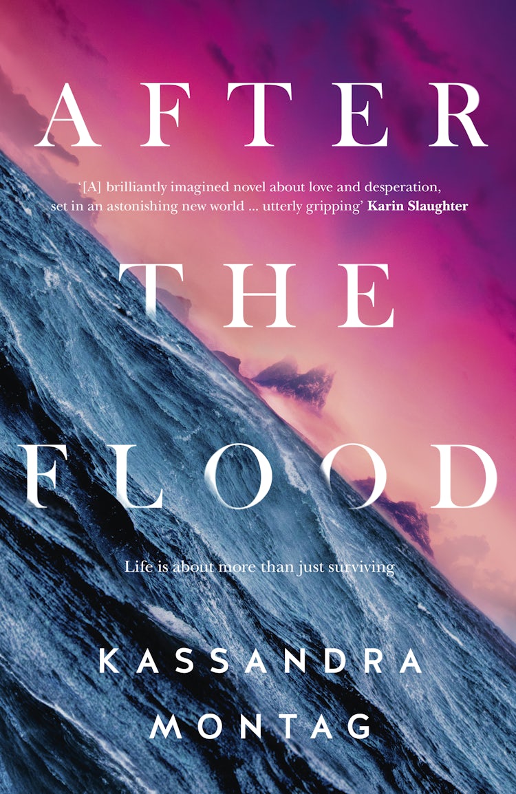 Cover image for After The Flood, isbn: 9781460711514