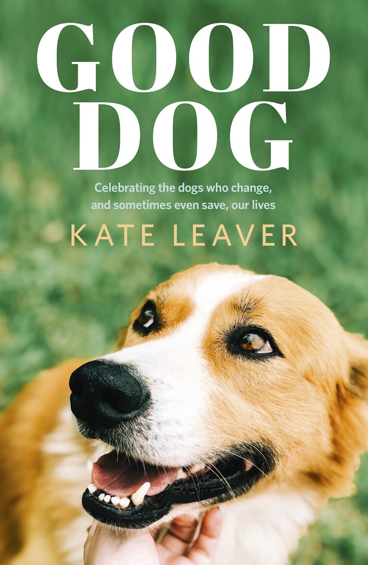 Cover image for Good Dog: Celebrating dogs who change, and sometimes even save, our lives, isbn: 9781460712627