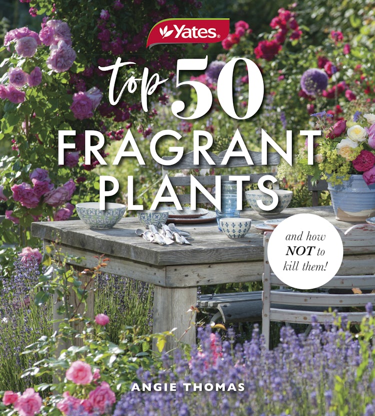 Cover image for Yates Top 50 Fragrant Plants and How Not to Kill Them!, isbn: 9781460715260