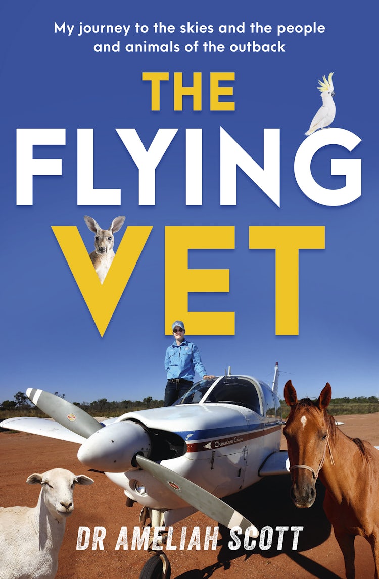Cover image for The Flying Vet: The extraordinary inspiring true story of life as a female vet and farmer in the remote Australian outback, perfect for fans of Muster Dogs and Back Roads, isbn: 9781460715543