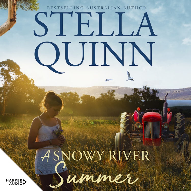 Cover image for A Snowy River Summer, isbn: 9781460731116