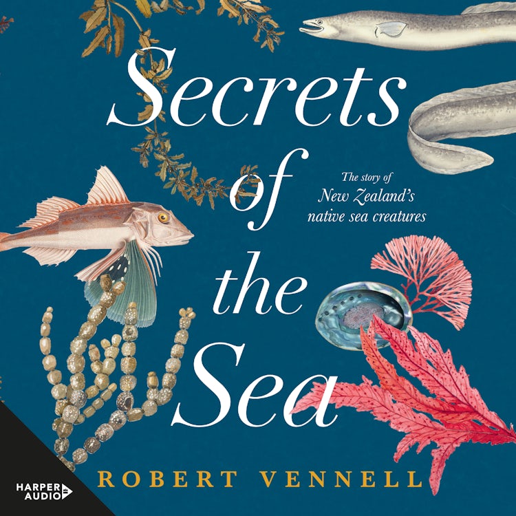 Cover image for Secrets of the Sea: The story of New Zealand's native sea creatures, isbn: 9781460731680