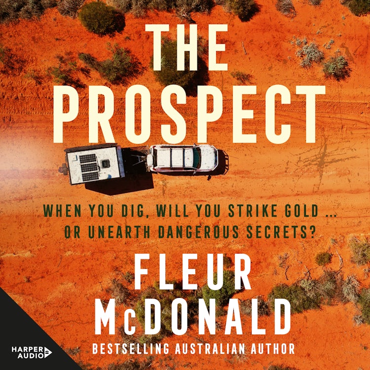 Cover image for The Prospect, isbn: 9781460732113