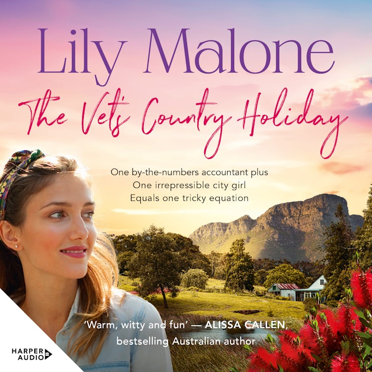 Cover image for The Vet's Country Holiday, isbn: 9781460741290
