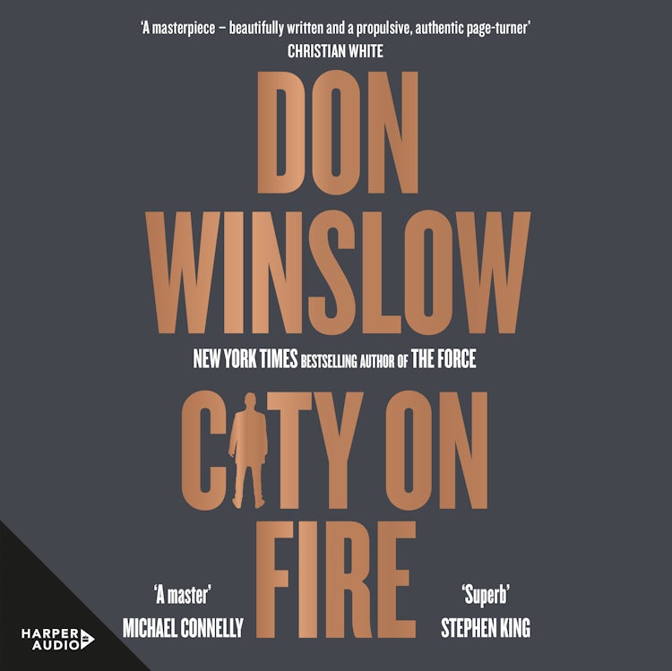 Cover image for City on Fire, isbn: 9781460741641