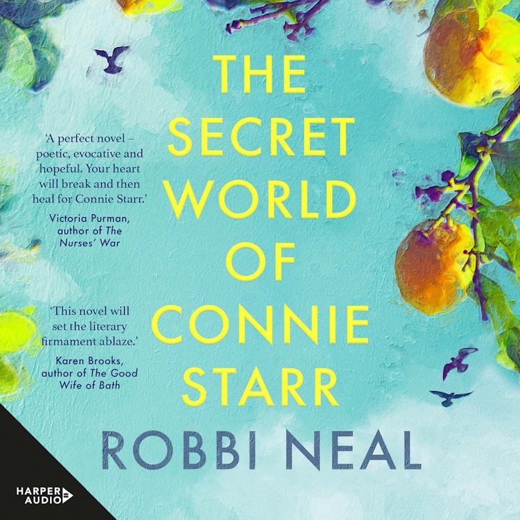 Cover image for The Secret World of Connie Starr, isbn: 9781460743577