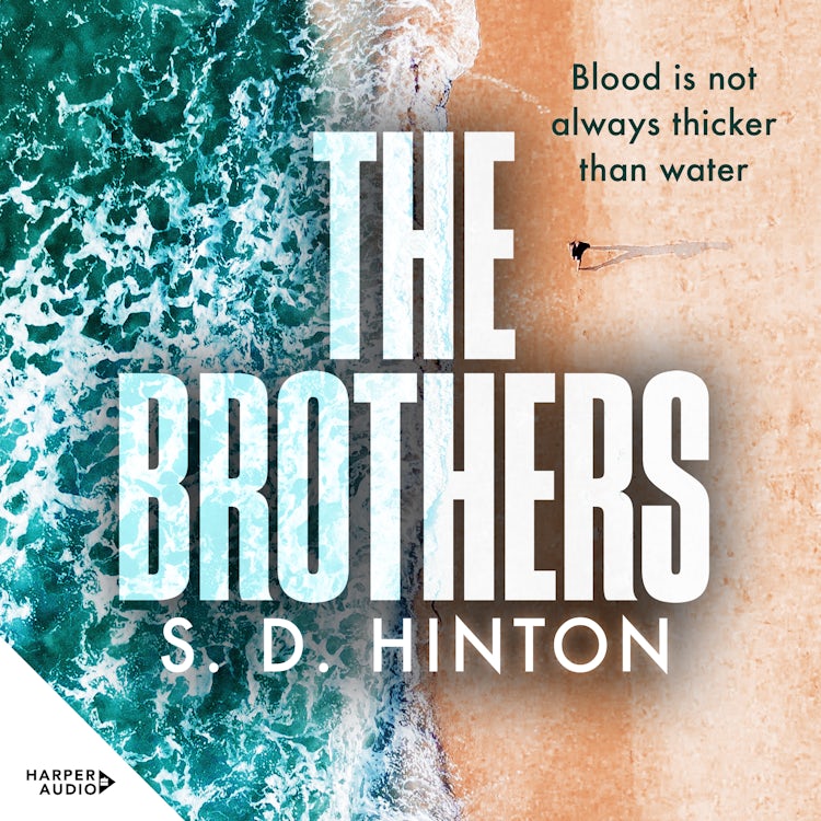 Cover image for The Brothers, isbn: 9781460744550