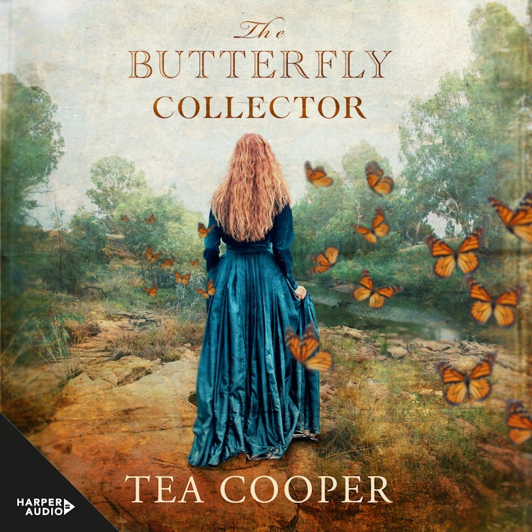 Cover image for The Butterfly Collector: a twisty historical mystery from the bestselling Australian author of THE TALENTED MRS GREENWAY, isbn: 9781460745168