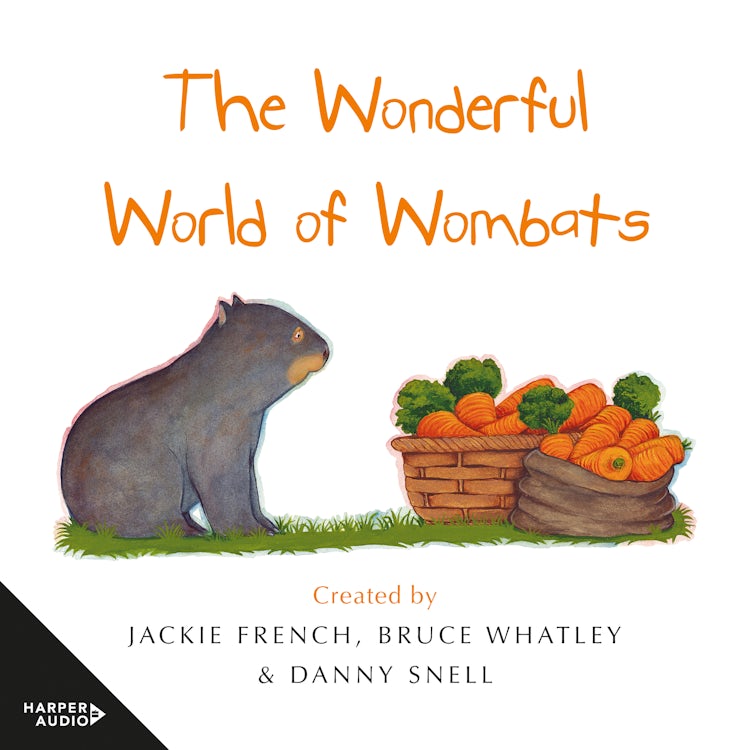 Cover image for The Wonderful World of Wombats, isbn: 9781460745649